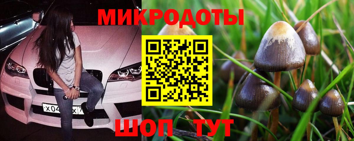 Галлюциногенные грибы MAGIC MUSHROOMS  Псилоцибиновые грибы Cubensis  Вход с VPN  Заволжье 
